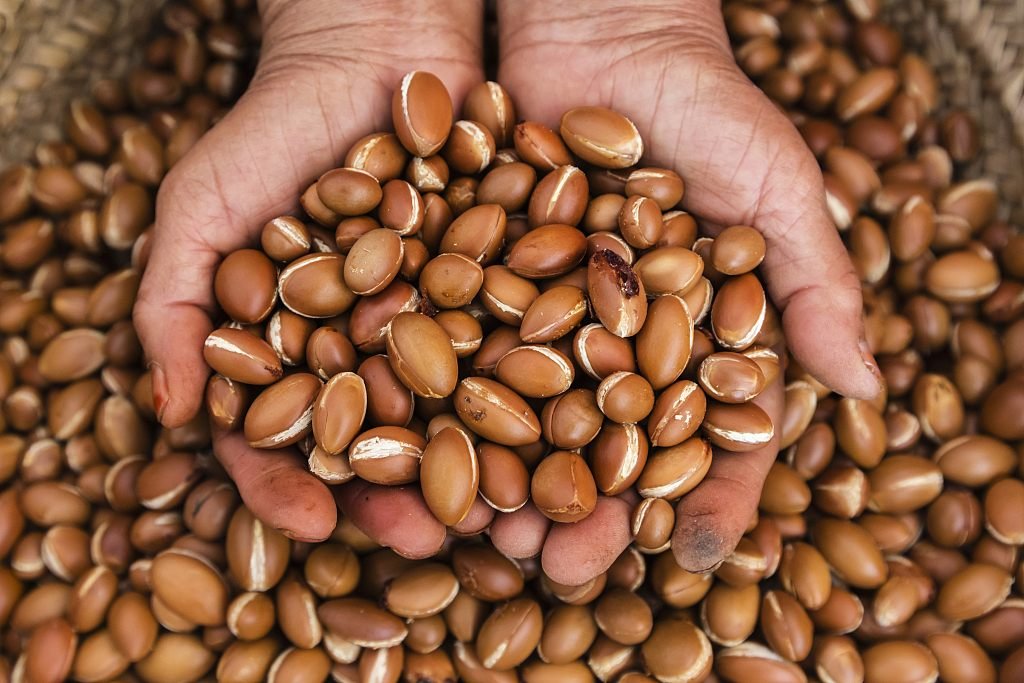 Argan kernels in hands